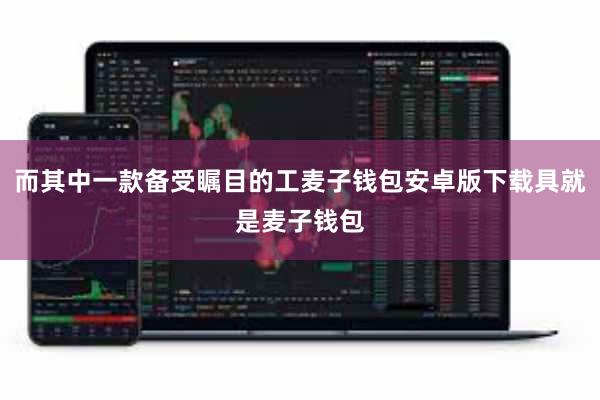 而其中一款备受瞩目的工麦子钱包安卓版下载具就是麦子钱包