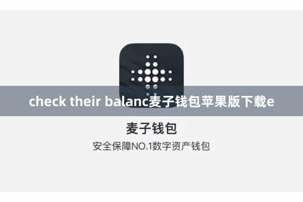 check their balanc麦子钱包苹果版下载e