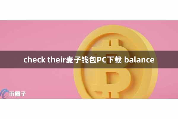 check their麦子钱包PC下载 balance