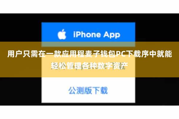 用户只需在一款应用程麦子钱包PC下载序中就能轻松管理各种数字资产