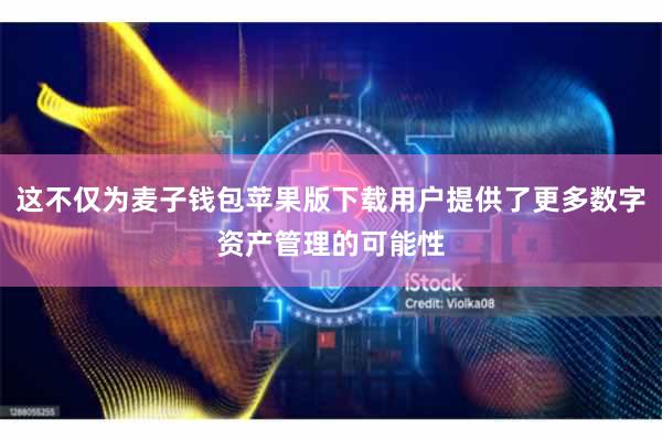 这不仅为麦子钱包苹果版下载用户提供了更多数字资产管理的可能性