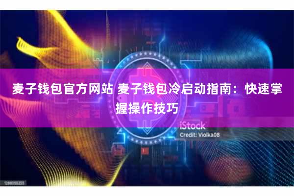 麦子钱包官方网站 麦子钱包冷启动指南：快速掌握操作技巧