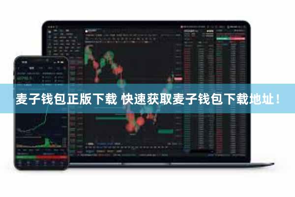 麦子钱包正版下载 快速获取麦子钱包下载地址！