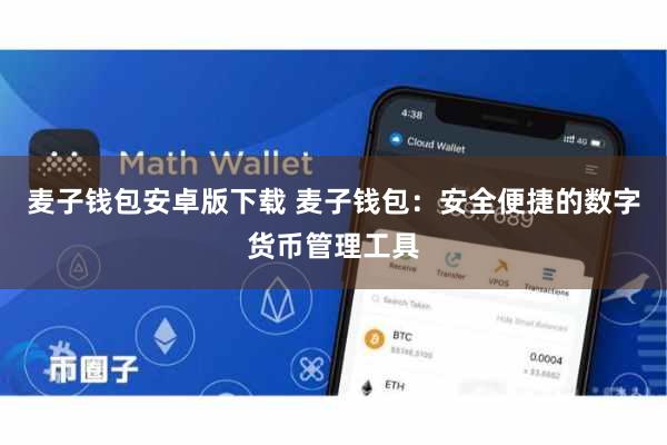 麦子钱包安卓版下载 麦子钱包：安全便捷的数字货币管理工具