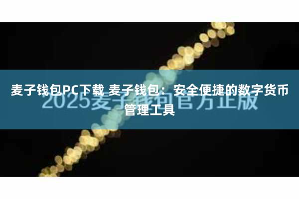 麦子钱包PC下载 麦子钱包：安全便捷的数字货币管理工具