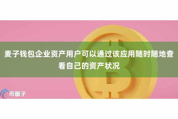 麦子钱包企业资产用户可以通过该应用随时随地查看自己的资产状况
