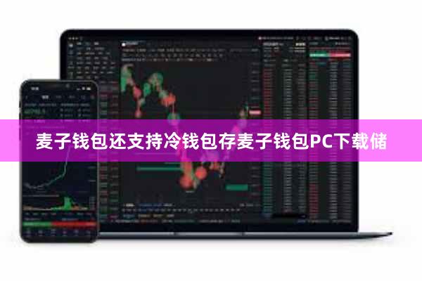 麦子钱包还支持冷钱包存麦子钱包PC下载储