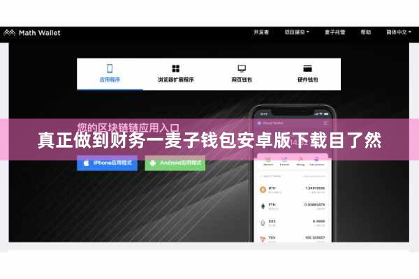 真正做到财务一麦子钱包安卓版下载目了然