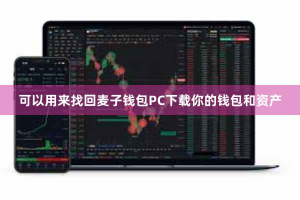 可以用来找回麦子钱包PC下载你的钱包和资产