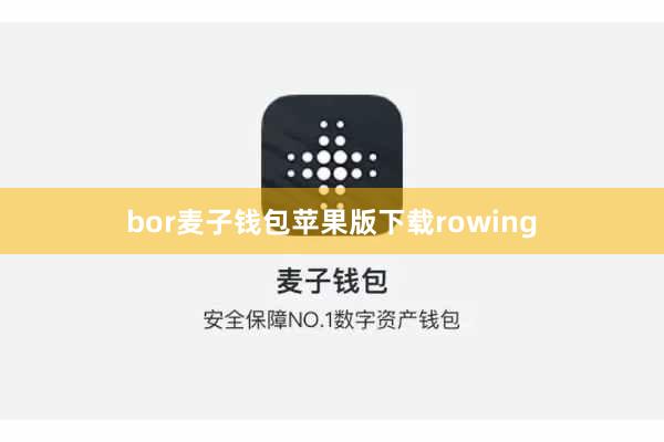 bor麦子钱包苹果版下载rowing