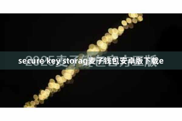 secure key storag麦子钱包安卓版下载e