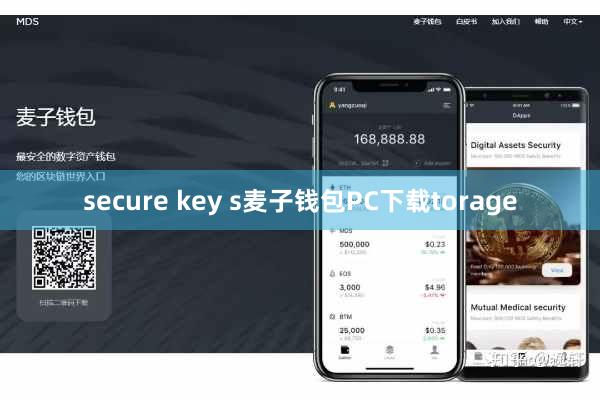 secure key s麦子钱包PC下载torage