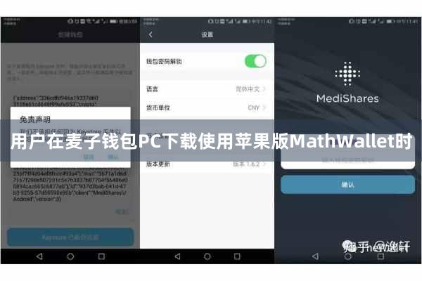 用户在麦子钱包PC下载使用苹果版MathWallet时