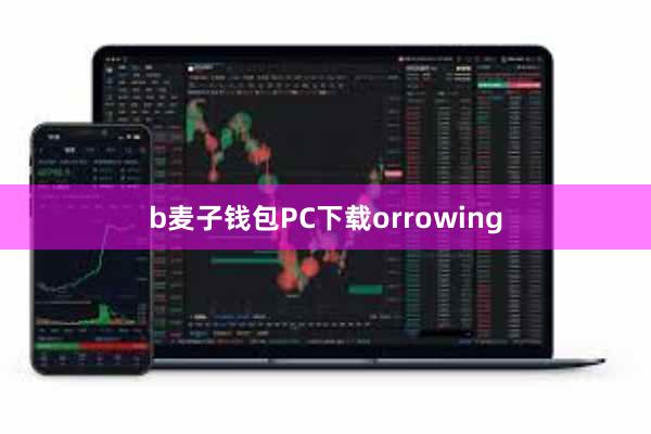 b麦子钱包PC下载orrowing