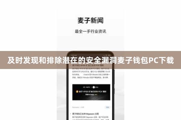 及时发现和排除潜在的安全漏洞麦子钱包PC下载