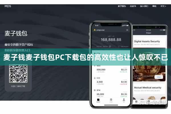 麦子钱麦子钱包PC下载包的高效性也让人惊叹不已