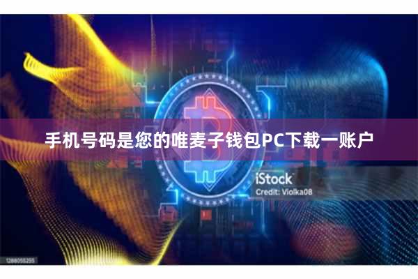 手机号码是您的唯麦子钱包PC下载一账户