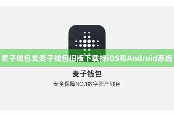 麦子钱包支麦子钱包旧版下载持iOS和Android系统